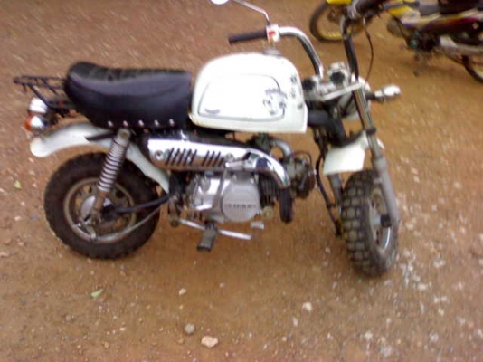 เรียวก้า กอลิล่า