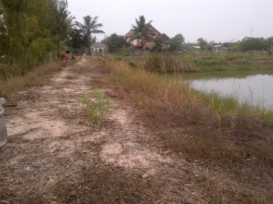 ขายที่ดินโฉนดแปลงสินทรัพย์เป็นทุน(ห้ามโอน 10ปี)สามารถโอนได้ปี58 เนื้อที่ 7 - 2 - 18 ไร่ ขายที่ดินโฉนดแปลงสินทรัพย์เป็นทุน(ห้ามโอน 10ปี)สามารถโอนได้ปี58 เนื้อที่ 7 - 2 - 18 ไร่