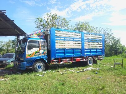 ขาย 6 ล้อใหญ่ เดก้า 195 แรง / ปี 40 / ยาว 7.20 เมตร ( ยาง 900-20 )