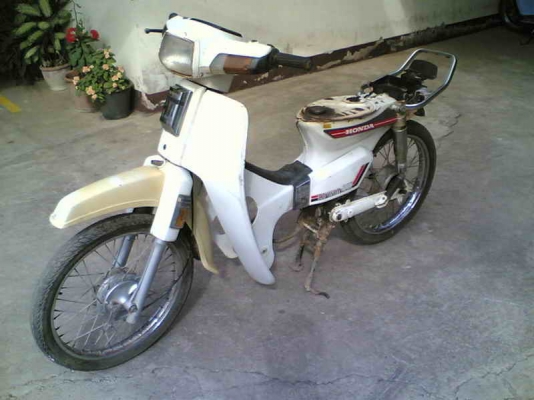 ขายโครงยืนดรีมคุรุสภา(ขาว) Noเล่มออกใบซื้อขายให้อะไหร่เกือบครบขาดช่วงท้าย ขาย 2900 บาท ขายโครงยืนดรีมคุรุสภา(ขาว) Noเล่มออกใบซื้อขายให้อะไหร่เกือบครบขาดช่วงท้าย ขาย 2900 บาท