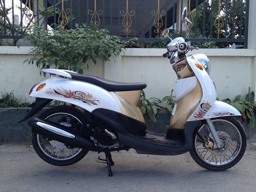 ขายfino สีน้ำตาล ขาวปี2553 ขายfino สีน้ำตาล ขาวปี2553