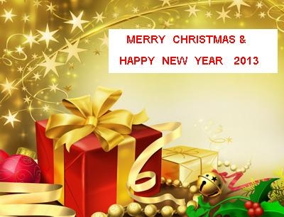 สุขสันต์วันปีใหม่ 2013