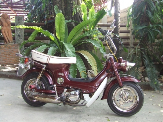 ขาย ชาลีเดิมๆ ทะเบียนแท้ๆ