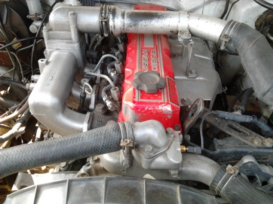 ขาย กระบะตอนเดียว NISSAN บิ๊กเอ็ม TD2.5 ปี35/92 เครื่องBD2.5 ฝาแดงละเอียด แห้งๆ แน่นๆ ไม่มีหลวม หน้า-หลังเดิมๆ สีมีเก็บมาบ้าง ช่วงล่างปึ๊กไม่มีส่าย คัสซีดีไม่ผุ ภายในสวย เบาะไม่ขาด คอนโซลครบ แอร์พร้อม กระบะไม่ผุ บางๆ ยางดี4เส้น***ขายแล้วครับขอบคุณ Truck2h