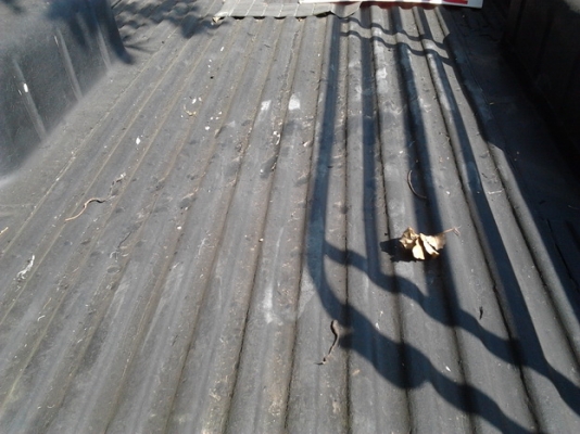 ขาย กระบะตอนเดียว NISSAN บิ๊กเอ็ม TD2.5 ปี35/92 เครื่องBD2.5 ฝาแดงละเอียด แห้งๆ แน่นๆ ไม่มีหลวม หน้า-หลังเดิมๆ สีมีเก็บมาบ้าง ช่วงล่างปึ๊กไม่มีส่าย คัสซีดีไม่ผุ ภายในสวย เบาะไม่ขาด คอนโซลครบ แอร์พร้อม กระบะไม่ผุ บางๆ ยางดี4เส้น***ขายแล้วครับขอบคุณ Truck2h