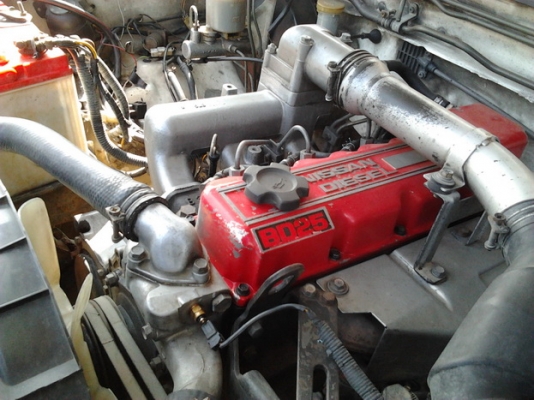 ขาย กระบะตอนเดียว NISSAN บิ๊กเอ็ม TD2.5 ปี35/92 เครื่องBD2.5 ฝาแดงละเอียด แห้งๆ แน่นๆ ไม่มีหลวม หน้า-หลังเดิมๆ สีมีเก็บมาบ้าง ช่วงล่างปึ๊กไม่มีส่าย คัสซีดีไม่ผุ ภายในสวย เบาะไม่ขาด คอนโซลครบ แอร์พร้อม กระบะไม่ผุ บางๆ ยางดี4เส้น***ขายแล้วครับขอบคุณ Truck2h