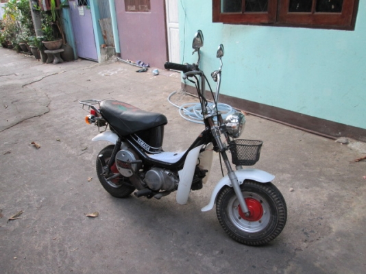 ขาย ชิปปี้3เกียร์ 6500ด่วน ขาย ชิปปี้3เกียร์ 6500ด่วน