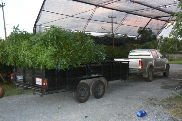 ขายเทเลอร์หางพ่วงรถกระบะ TOYOTA VIGO มีทะเบียนพร้อมโอน