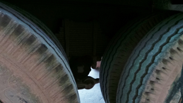 ISUZU 175 แรงม้า หัวเดิม เครื่องเปลี่ยน คัซซีจัมโบ้ สวยตลอดแนวค่ะ ISUZU 175 แรงม้า หัวเดิม เครื่องเปลี่ยน คัซซีจัมโบ้ สวยตลอดแนวค่ะ