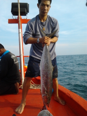 บริการเรือตกปลา บริการเรือตกปลา