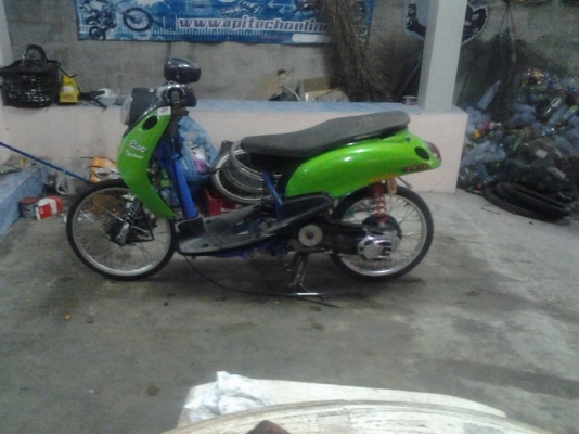 ขาย ฟีโน่ ลุก 66 ชัก 5