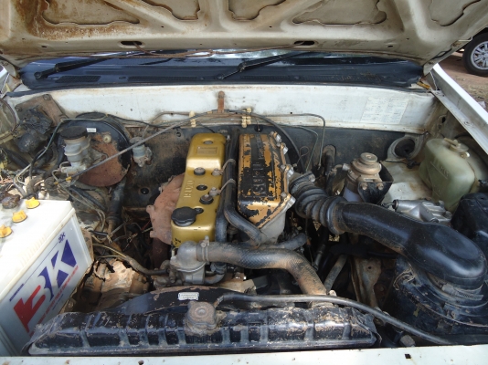 tfrหัวเดียว ปี3 ราคา87000 tfrหัวเดียว ปี3 ราคา87000