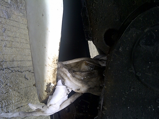 +ขายLSตัวเก่า ตามสภาพครับผม เครื่องติดครับผม แต่คันเกียรหักไปเก็บงานเอาเองครับ7500บ.+