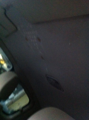 MAZDA - BT-50 - FREE STYLE CAB Hi-racer 2.5 MT