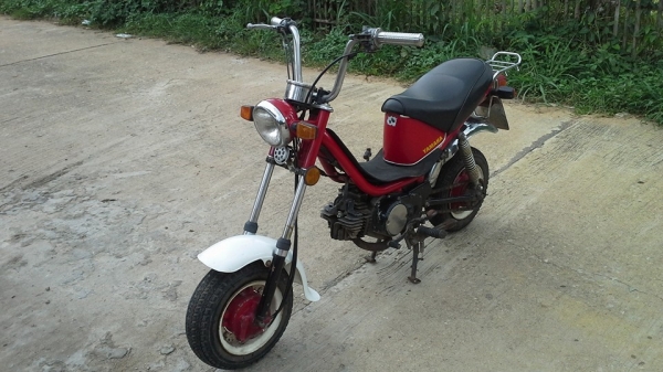 ชิปปี้ทะเบียนแท้พร้อมโอนภาษีเต็มหายากราคาถูกๆ15500บาท