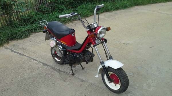 ชิปปี้ทะเบียนแท้พร้อมโอนภาษีเต็มหายากราคาถูกๆ15500บาท