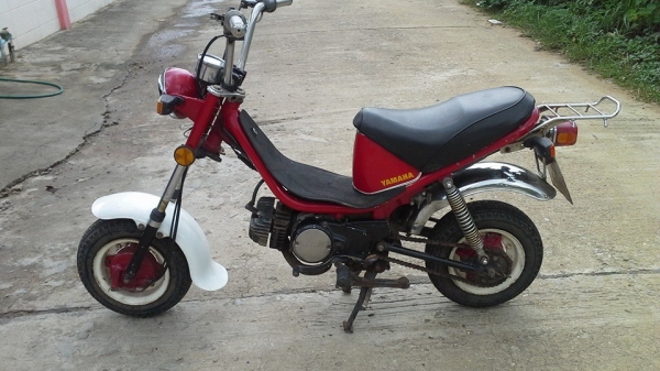 ชิปปี้ทะเบียนแท้พร้อมโอนภาษีเต็มหายากราคาถูกๆ15500บาท