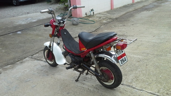 ชิปปี้ทะเบียนแท้พร้อมโอนภาษีเต็มหายากราคาถูกๆ15500บาท