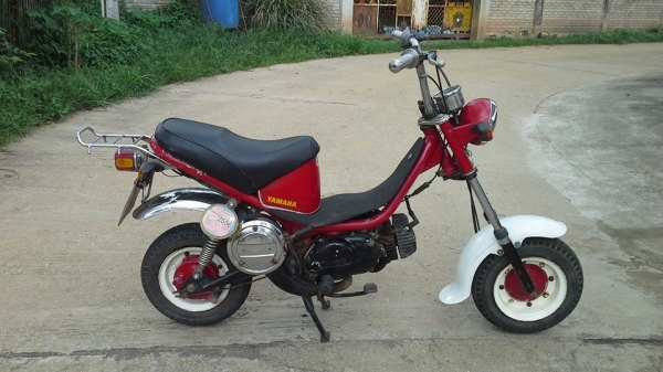 ชิปปี้ทะเบียนแท้พร้อมโอนภาษีเต็มหายากราคาถูกๆ15500บาท