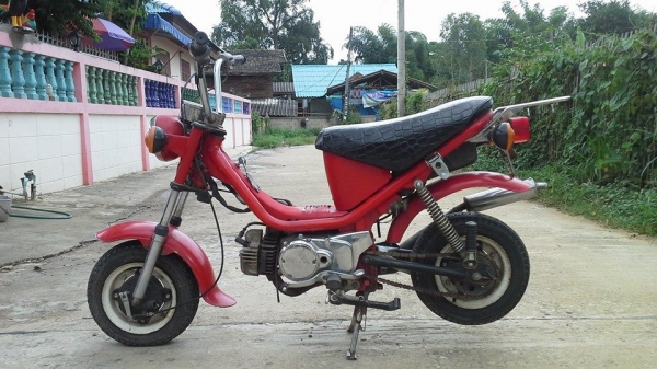 ชิปปี้สภาพเดิมๆไม่มีทะเบียนราคาถกๆ6800บาท