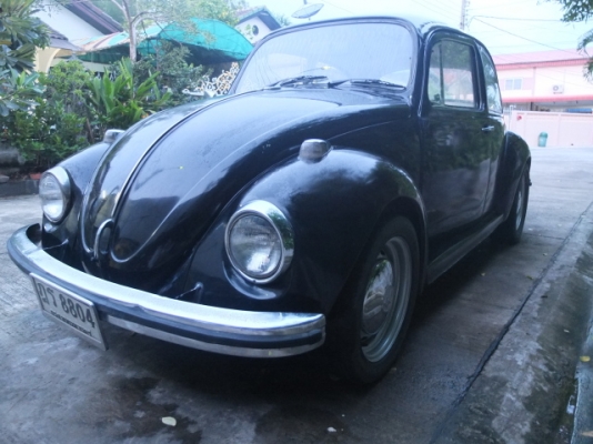 ขายเต่า70 สีดำ