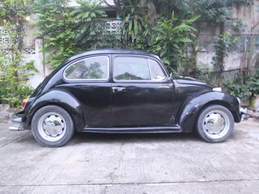 ขายเต่า70 สีดำ