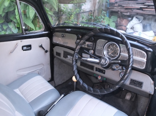 ขายเต่า70 สีดำ