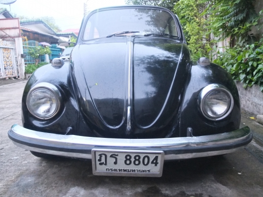 ขายเต่า70 สีดำ