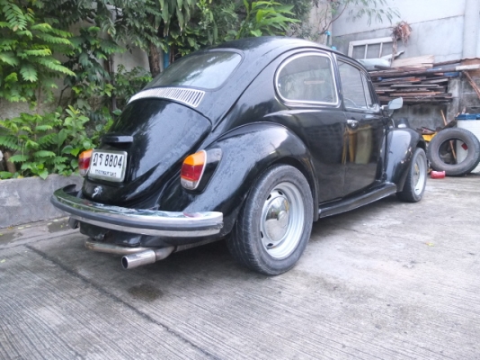 ขายเต่า70 สีดำ