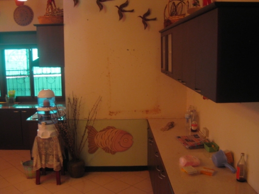 ขายบ้านใกล้โลตัส 1 ถนนมิตรภาพ 300 m สี่แยกอุดร-หนองคาย 121 ตรว.