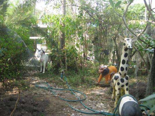 ขายบ้านใกล้โลตัส 1 ถนนมิตรภาพ 300 m สี่แยกอุดร-หนองคาย 121 ตรว.