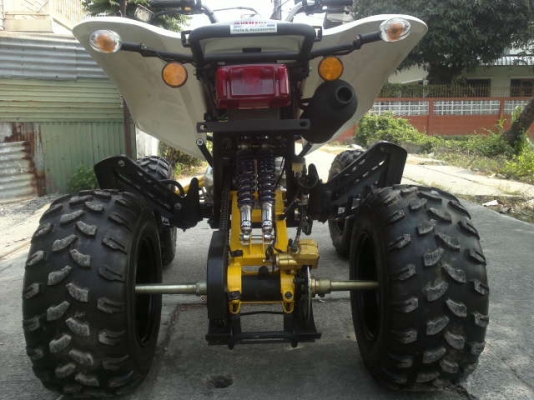 ATV 250 cc. ATV 250 cc.