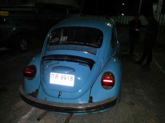 ขายเต่าsuperstar