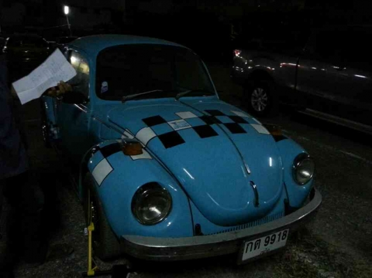 ขายเต่าsuperstar