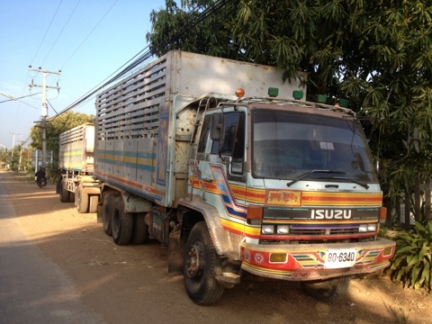 ขาย ROCK 240 นางฟ้าแท้ๆ แม่ ลูก ดั๊ม กะบะปิเนียมอู่ชุนชัย