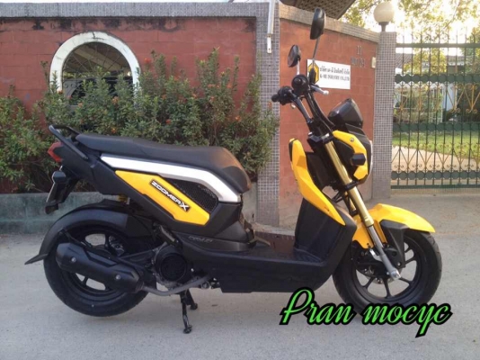 ขายHonda zoomer-x สีเหลือง ปี2013 ขายHonda zoomer-x สีเหลือง ปี2013
