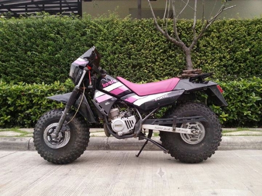 ขาย/แลก รถอิตาลีหายาก FANTIC KOALA