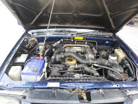 ขายตัดเงินสด ปี99 ขายตัดเงินสด ปี99