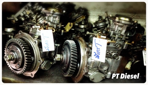 ปั๊มมังกร TFR ลูกปั๊ม 11 มิล