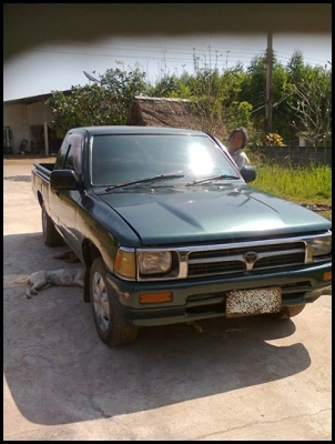 ไมตี้เอ๊กซ์