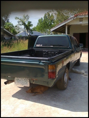 ไมตี้เอ๊กซ์