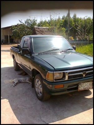 ไมตี้เอ๊กซ์