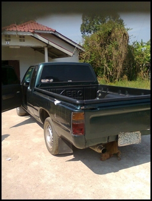 ไมตี้เอ๊กซ์