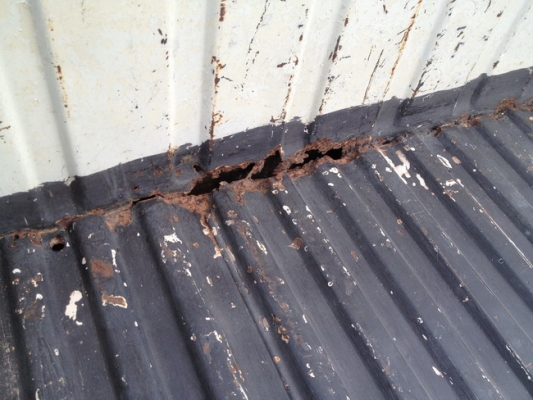 ขาย TOYOTA RN30ม้ากระโดด 4ขอ สภาพสวยๆ เดิมๆบางๆ