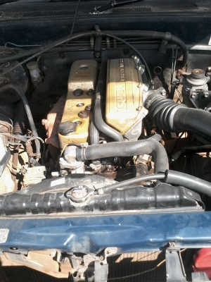 tfrหัวเดียว ปี34 ราคา75000 tfrหัวเดียว ปี34 ราคา75000