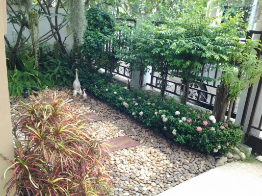 ขาย บ้านเดี่ยว 2 ชั้น 4ห้องนอน 2ห้องน้ำ พร้อมเข้าอยู่ได้ทันที ขาย บ้านเดี่ยว 2 ชั้น 4ห้องนอน 2ห้องน้ำ พร้อมเข้าอยู่ได้ทันที