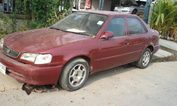 ขายtoyotaไฮทอร์ค ถูกๆครับ กระจกไฟฟ้า