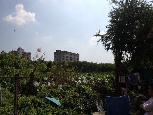 ยกเลิกประกาศ