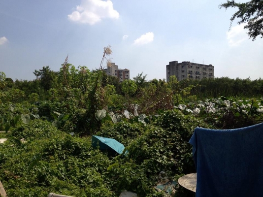 ยกเลิกประกาศ