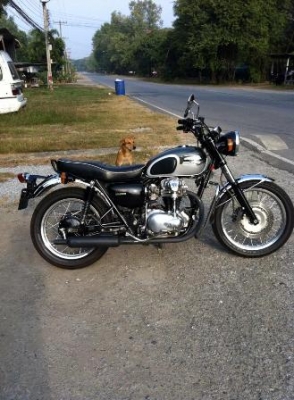 Re: ขาย w650 รับแลก 883 , buell สพม  ปี 2008 เปิดที่ 230,000 ต่อลองได้ สพม นครปฐมครับ 0849300148